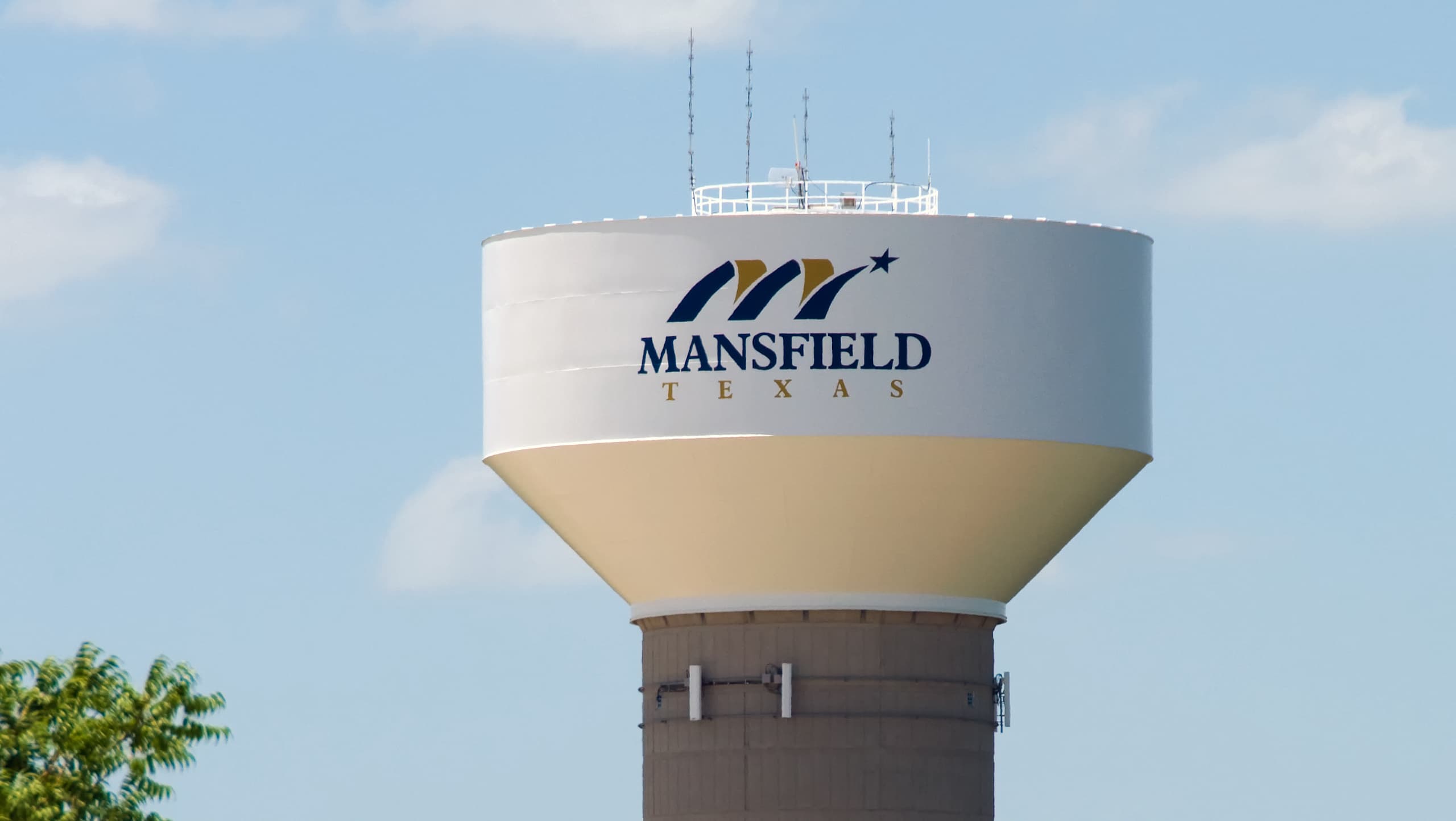 Homeowner Associations artificial turf in Fort Worth